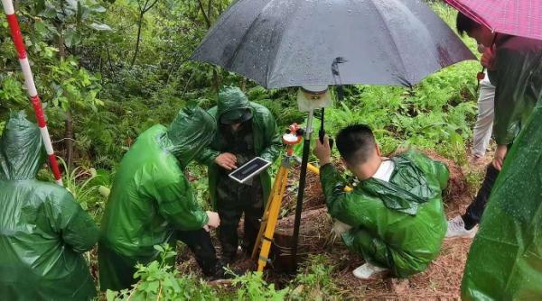 国家林业和草原局:我国首次实现以国土&ldquo;三调&rdquo;为统一底版的森林、草原、湿地资源全覆盖监测